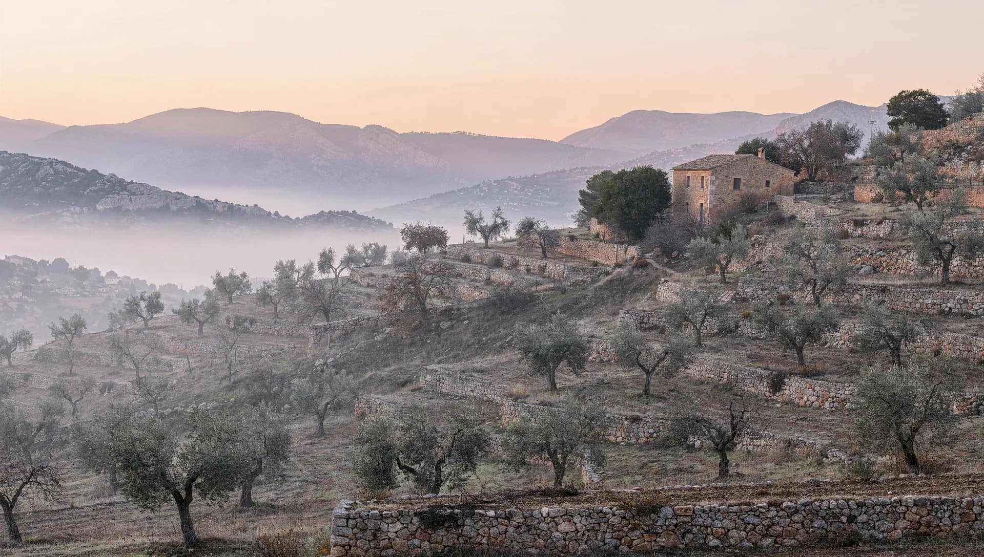 Serra de Tramuntana im Morgenlicht